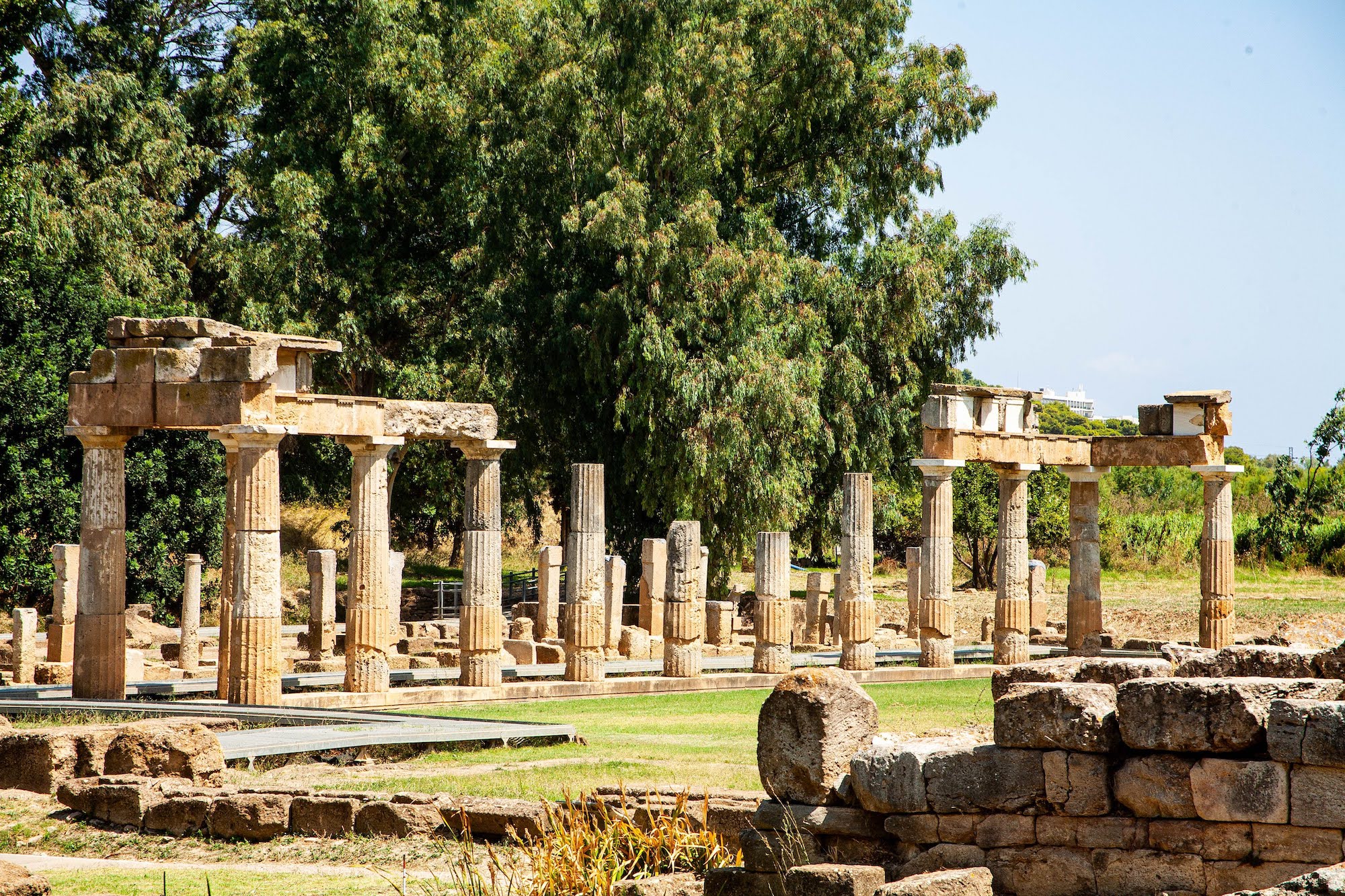 Togas Meet Trainers: Marathon Tours & Travel's Launch Greek Odyssey Running Festival